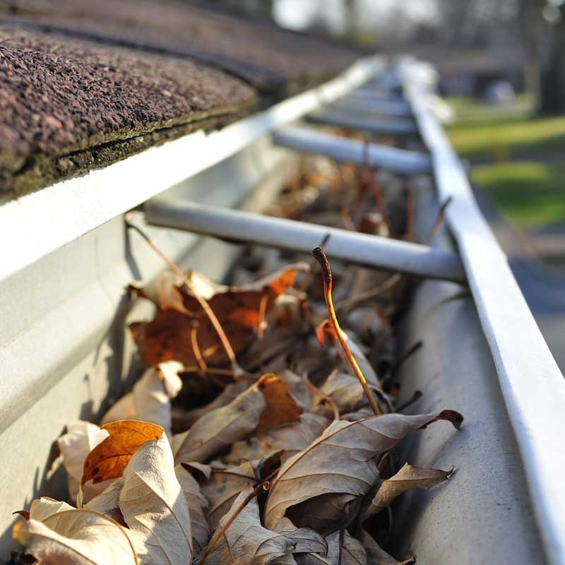 gutter maintenance