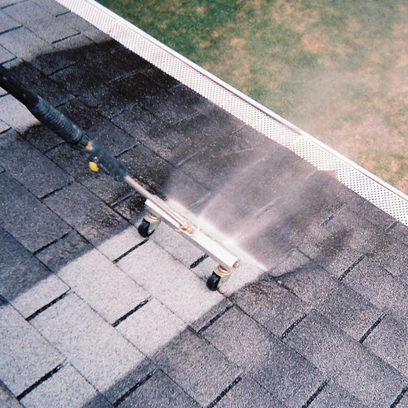 roof cleaning